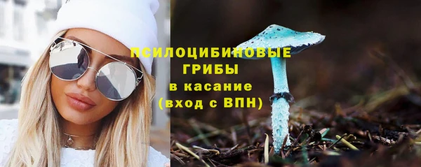 PSILOCYBIN Баксан