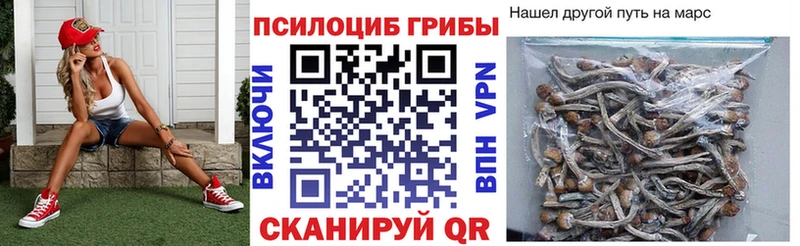 гидра ONION  даркнет сайт  Кушва  Псилоцибиновые грибы GOLDEN TEACHER 